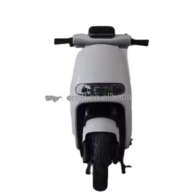 Erleben Sie die Leistung und Geschwindigkeit unseres 1500W/2000W elektrischen Dirtbikes für Erwachsene