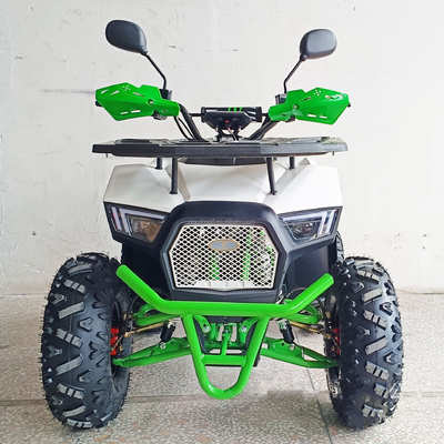 Erleben Sie die Leistung unseres 1000 Watt elektrischen ATV 4 Rad Geländefahrzeugs für Erwachsene