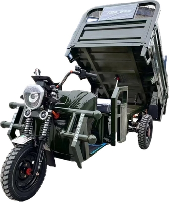 1000W Elektro-Dreifahrräder Lastwagen Selbstentladung 3-Rad-Motorrad für Erwachsene