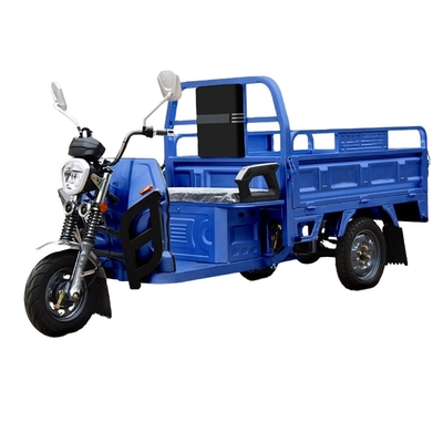 Hot Trending 1200w Offener Körper 3 Rad Motorrad Elektrische Ladung Dreirad für den Transport