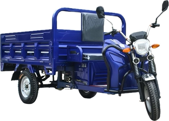 400-1000 kg Ladekapazität 1500 Watt Elektro-Dreifahrrad-Ladegerät für Landwirtschaft und Güterverkehr
