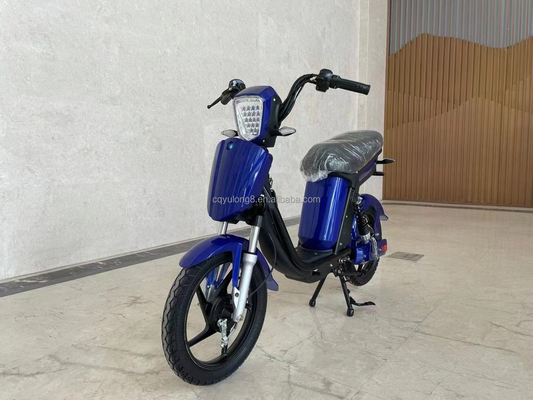 Individuell angepasstes LCD-Display Elektrofahrrad mit einfacher Funktion