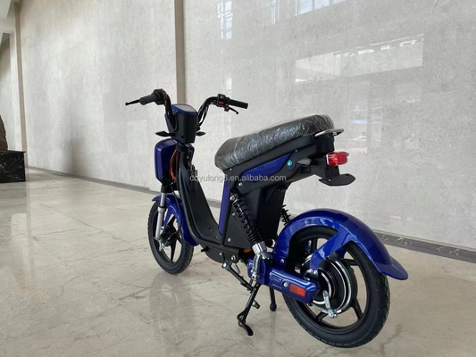 Individuell angepasstes LCD-Display Elektrofahrrad mit einfacher Funktion