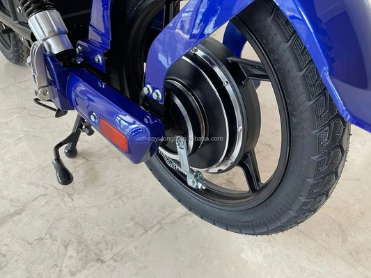 Individuell angepasstes LCD-Display Elektrofahrrad mit einfacher Funktion