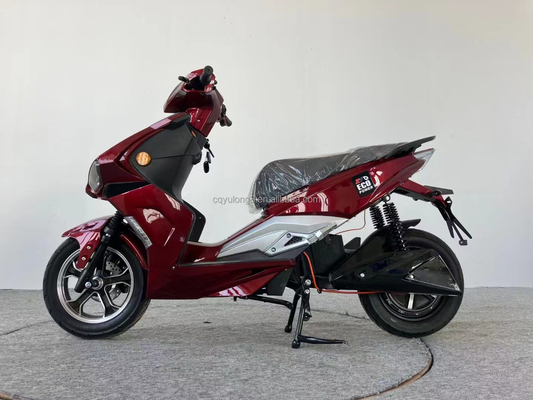 Elektro-Motorrad Fahrrad Motorrad und Roller kundenspezifische Ladezeit 6-8 Stunden