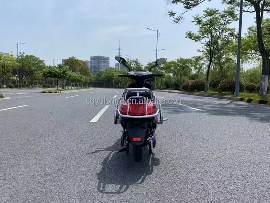 Elektrische Fahrräder Max. Geschwindigkeit 40-60km/h Motorleistung 500W/1000W/1500W/2000W Bürstenloser Motor