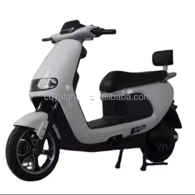 Erleben Sie die Leistung und Geschwindigkeit unseres 1500W/2000W elektrischen Dirtbikes für Erwachsene