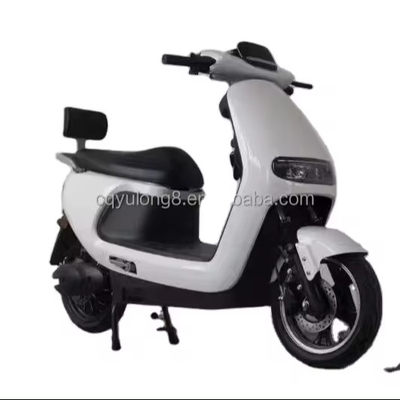 Erleben Sie die Leistung und Geschwindigkeit unseres 1500W/2000W elektrischen Dirtbikes für Erwachsene
