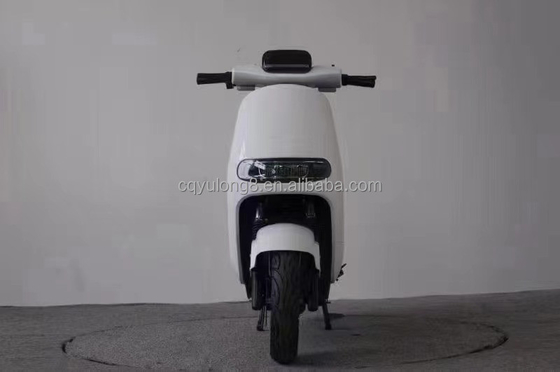 Erleben Sie die Leistung und Geschwindigkeit unseres 1500W/2000W elektrischen Dirtbikes für Erwachsene