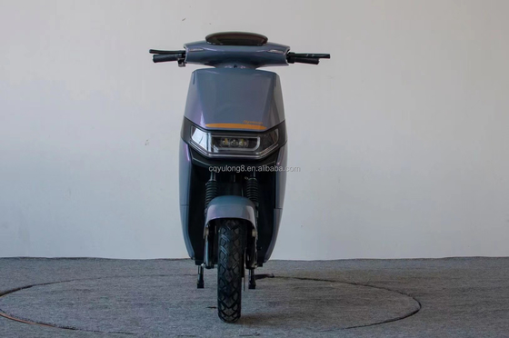 Erleben Sie die Leistung und Geschwindigkeit unseres 1500W/2000W elektrischen Dirtbikes für Erwachsene