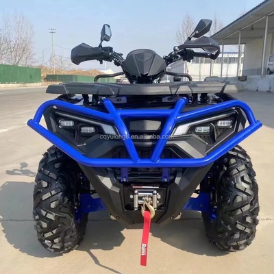 10 Zoll Reifen Größe Professionelle Jungle Edition Dune Buggy für Benzin Sport ATV Racing