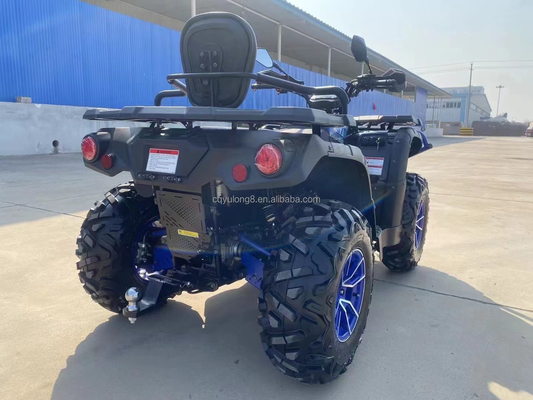 10 Zoll Reifen Größe Professionelle Jungle Edition Dune Buggy für Benzin Sport ATV Racing