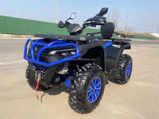 10 Zoll Reifen Größe Professionelle Jungle Edition Dune Buggy für Benzin Sport ATV Racing