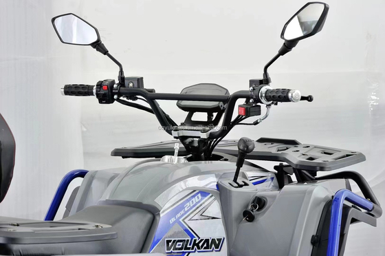 10 Zoll Reifen Größe 110cc oder 125cc ATVs Vierräder für Erwachsene bei Höchstgeschwindigkeit 50-75Km/h