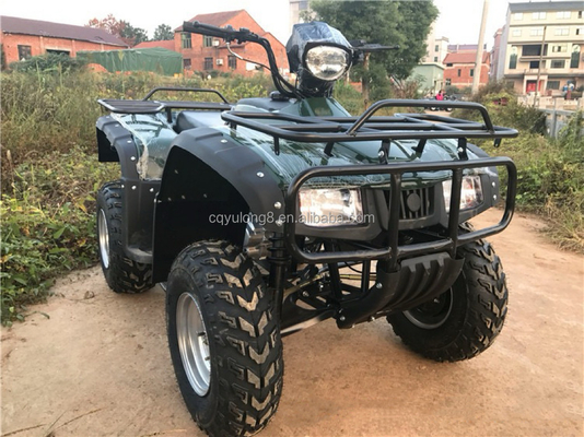CE-zertifiziertes 200cc-Gleichgewichtsradmotorrad ATV-Quad mit 800W-Motor und 60V-Spannung