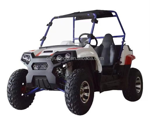 Ladezeit von 5-7h 2300mm*1300mm*900mm Genehmigter Motor 1500W 4x4 UTVs Seite an Seite