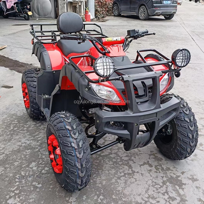 Electric Start 250cc Quad Bike mit 500W Motor und Achsgetriebenem All-Terrain-Design