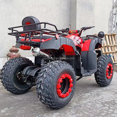 Electric Start 250cc Quad Bike mit 500W Motor und Achsgetriebenem All-Terrain-Design
