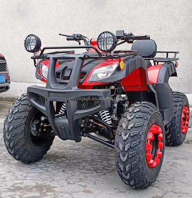 Electric Start 250cc Quad Bike mit 500W Motor und Achsgetriebenem All-Terrain-Design