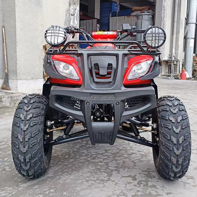 Electric Start 250cc Quad Bike mit 500W Motor und Achsgetriebenem All-Terrain-Design