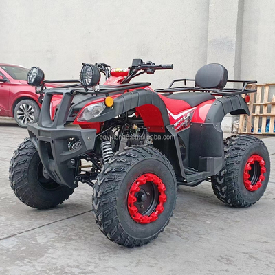 Electric Start 250cc Quad Bike mit 500W Motor und Achsgetriebenem All-Terrain-Design