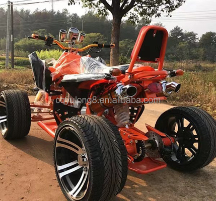 Hot Product 200cc ATV mit kontinuierlich wechselndem Motor und maximaler Geschwindigkeit von 50-75 km/h