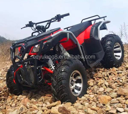 Automatischer 125cc Kettenantrieb für Erwachsene Vierräder Off-Road Mountain ATV für Outdoor-Spaß