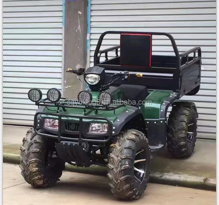 Offroad 250cc Farm Quad Bike mit Automatikgetriebe und 60V Batterie