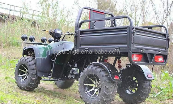 Offroad 250cc Farm Quad Bike mit Automatikgetriebe und 60V Batterie