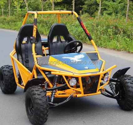 Erleben Sie die Kraft und Leistung dieses 4-Takt 2-Sitzer Off-Road Dune Buggy