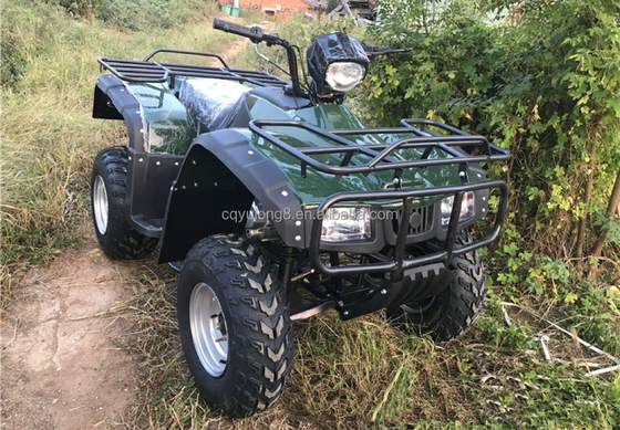 4x4 Buggy Motor ATV UTV 200cc für Erwachsene Automatikgetriebe Maximalgeschwindigkeit 80 km/h