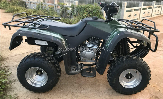 4x4 Buggy Motor ATV UTV 200cc für Erwachsene Automatikgetriebe Maximalgeschwindigkeit 80 km/h