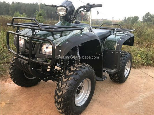 4x4 Buggy Motor ATV UTV 200cc für Erwachsene Automatikgetriebe Maximalgeschwindigkeit 80 km/h