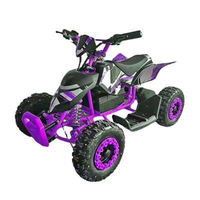 Entdecken Sie die Spannung unseres Mini Quad Buggy ATV 500W Elektro ATV für Kinder und Erwachsene