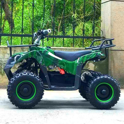 Elektrische ATV 800w Mini Quad Bike für Erwachsene und Kinder Kleines Off-Road Outdoor-Sportwagen