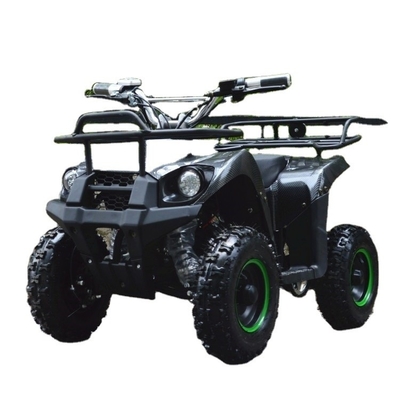 800w Mini-Elektro-ATV für Kinder und Erwachsene Kleines Offroad-Elektro-Quadbike ATV