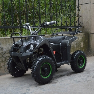 800w Mini-Elektro-ATV für Kinder und Erwachsene Kleines Offroad-Elektro-Quadbike ATV