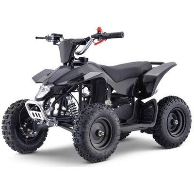 500 Watt elektrische ATV Dreirad Motorrad Front- und Rückscheibenbremssystem für Fahrgäste