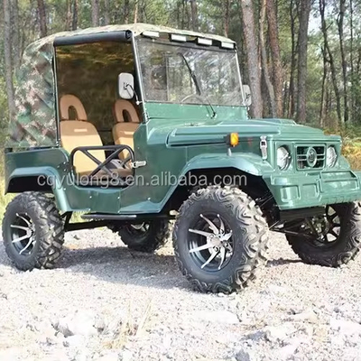 300CC 4x4 UTVs Gas UTV 2 Sitzplätze UTV Buggy Quad Bike für Erwachsene Höchstgeschwindigkeit 50-75Km/h