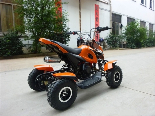 4x4 2WD/4WD Geländefahrzeuge Quad ATV für Kinder Erwachsene 49cc 200cc 300cc Schachtantrieb