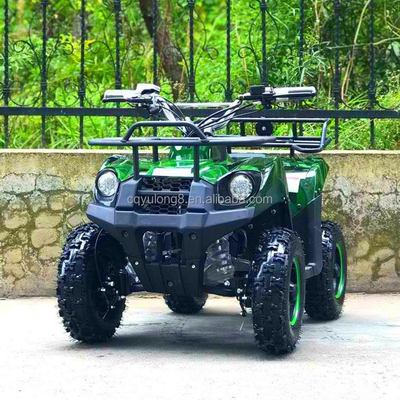500-800W Schachtantrieb Motor Elektro Mini ATV Buggy 4 Rad Quad Bike für Kinder und Erwachsene