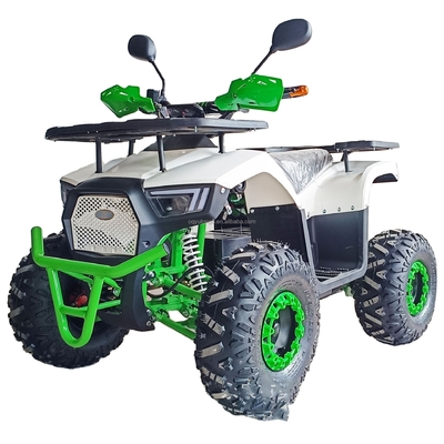Kinder und Erwachsene 50cc Offroad Benzin Motorrad 2-Takt ATV mit Fahrgastsitz