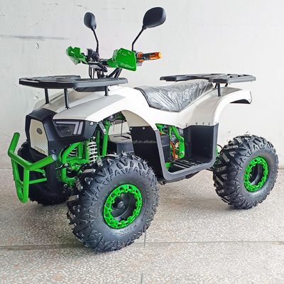 Kinder und Erwachsene 50cc Offroad Benzin Motorrad 2-Takt ATV mit Fahrgastsitz