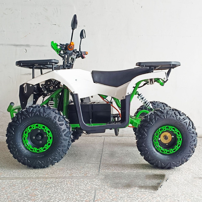 Kinder und Erwachsene 50cc Offroad Benzin Motorrad 2-Takt ATV mit Fahrgastsitz