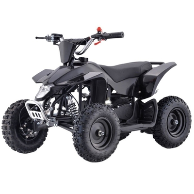 Elektro-Sportfahrzeuge ATV 2WD Fahrt Typ Ladezeit h 3-5h für Kinder und Erwachsene