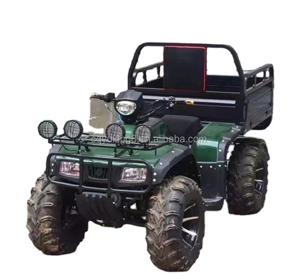 Off-Road Vierradmotorrad Fracht ATV UTV mit und Nutzlastkapazität von 100-200kg
