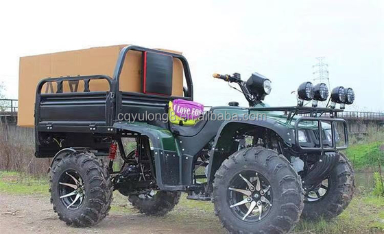 Off-Road Vierradmotorrad Fracht ATV UTV mit und Nutzlastkapazität von 100-200kg