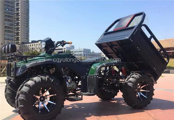 Off-Road Vierradmotorrad Fracht ATV UTV mit und Nutzlastkapazität von 100-200kg