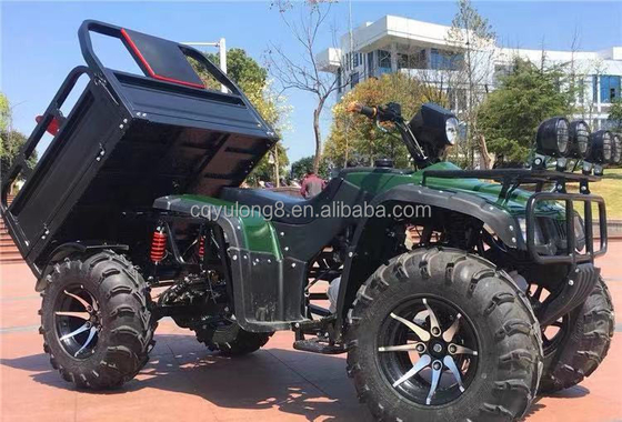 Off-Road Vierradmotorrad Fracht ATV UTV mit und Nutzlastkapazität von 100-200kg