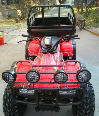 Off-Road Vierradmotorrad Fracht ATV UTV mit und Nutzlastkapazität von 100-200kg